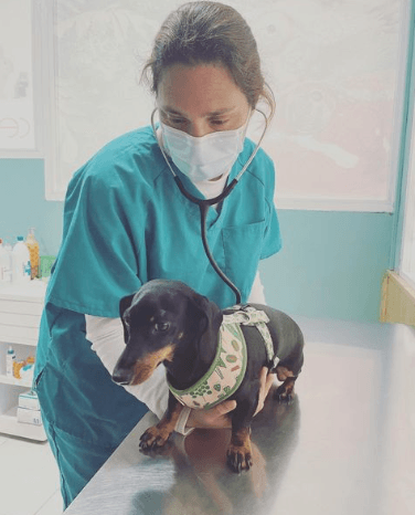 Centre Veterinari la Cala