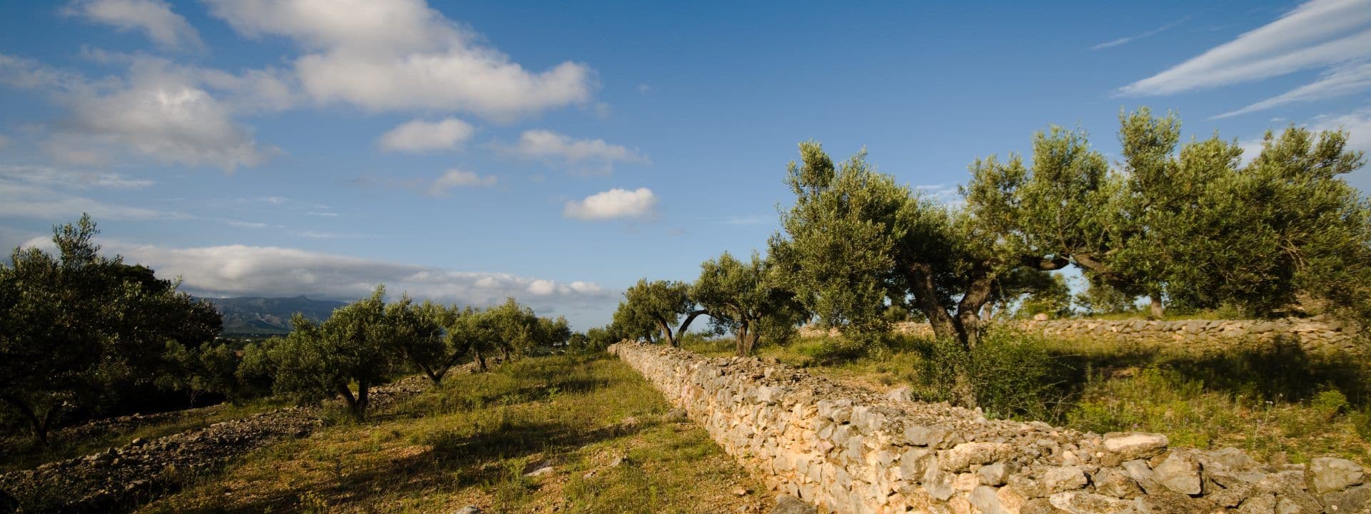 L’Ametlla de Mar i els seus “Camins de la Mediterrània”, 3 rutes de senderisme (i en bicicleta) que us encantaran. (Part 3)