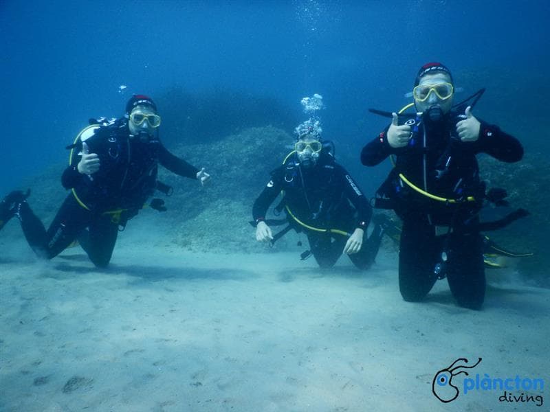 Curs de busseig Open Water Diver SSI/ACUC - Plàncton Diving