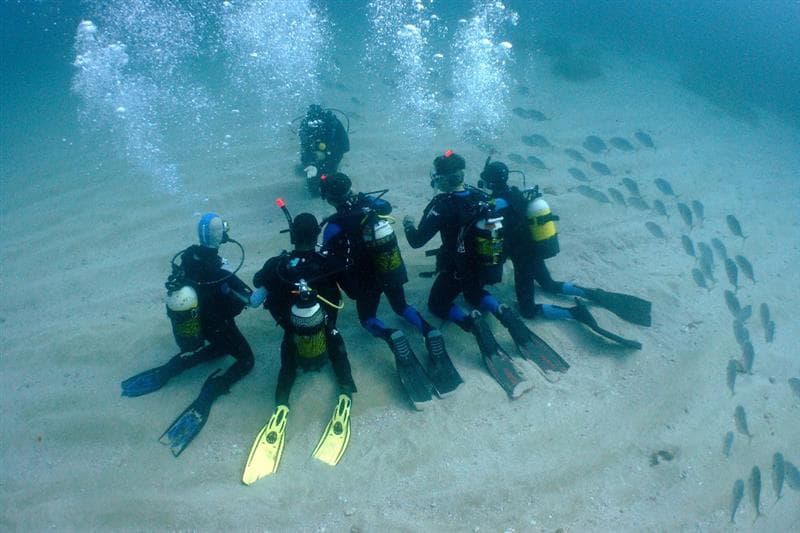 Curs Open Water Diver PADI - Ametlla Diving (Centre de Busseig PADI Autorizado #24626)