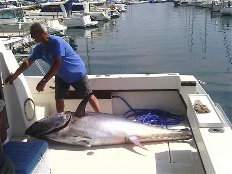 Pesca - Mementos Serveis Marítims