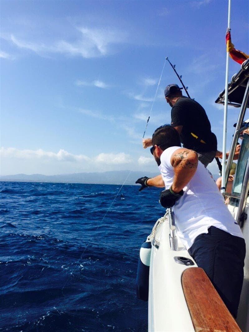 Recreational fishing (giant tuna, Curricà, jigging and spinning) - Top Fisher