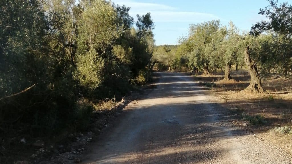 S’adequa i es pavimenta el Camí de Tivissa