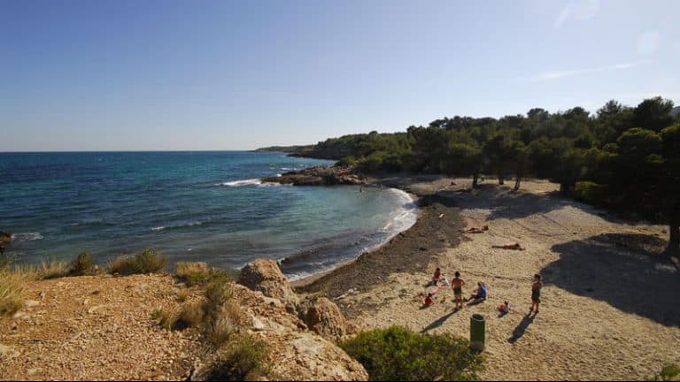 Neteja mediambiental de la platja de l’Estany Podrit