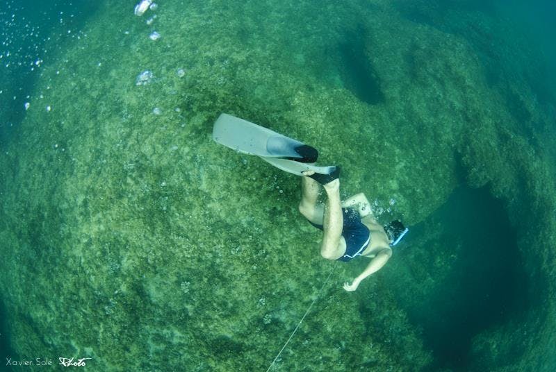 Discover the seabed while snorkelling - Mar Natura