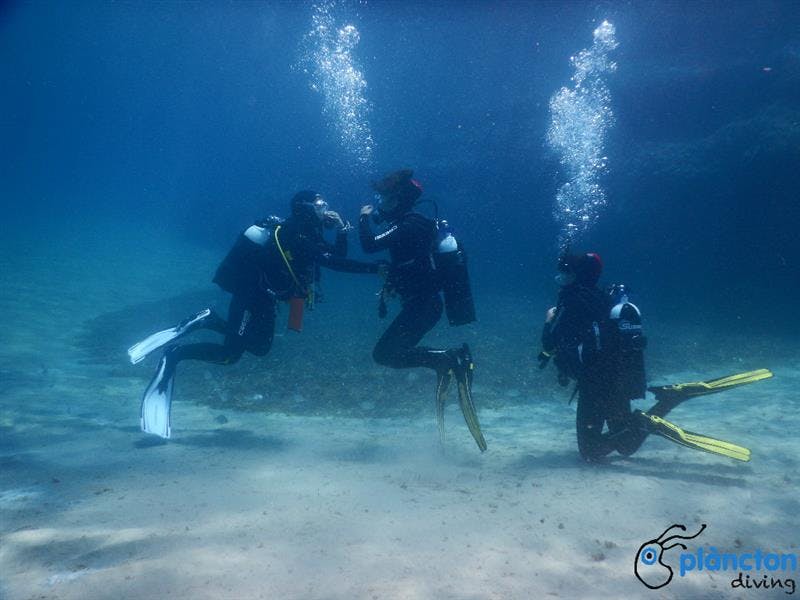 Curs de busseig Open Water Diver SSI/ACUC - Plàncton Diving