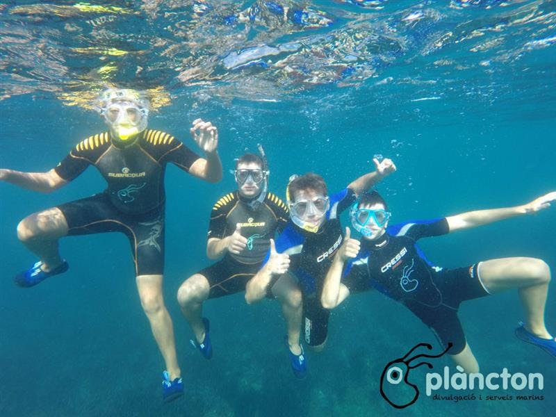 Experience snorkelling in l'Ametlla de Mar - Plàncton Diving