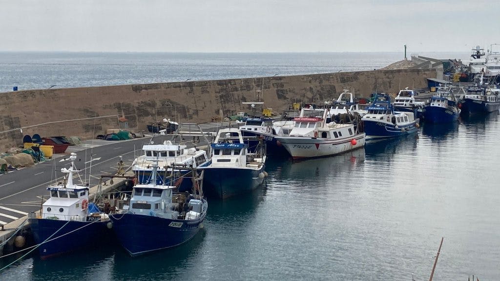 El port de l’Ametlla de Mar dóna suport a la vaga de pagesos però no atura l’activitat